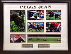 Framed Horse Racing collage