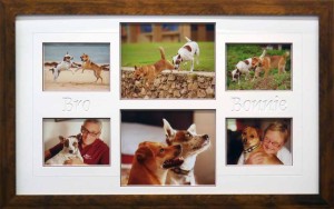 Framed Pet Dog Collage with Names
